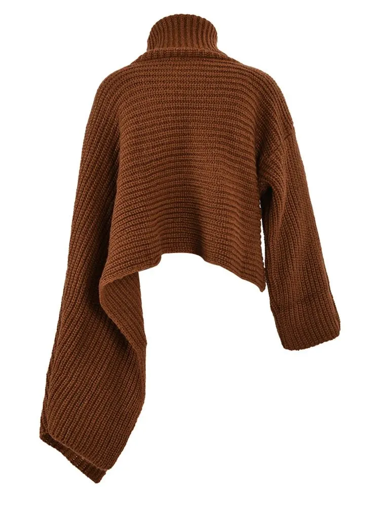 Pre Order:  Irregular Sleeves Turtleneck Sweater