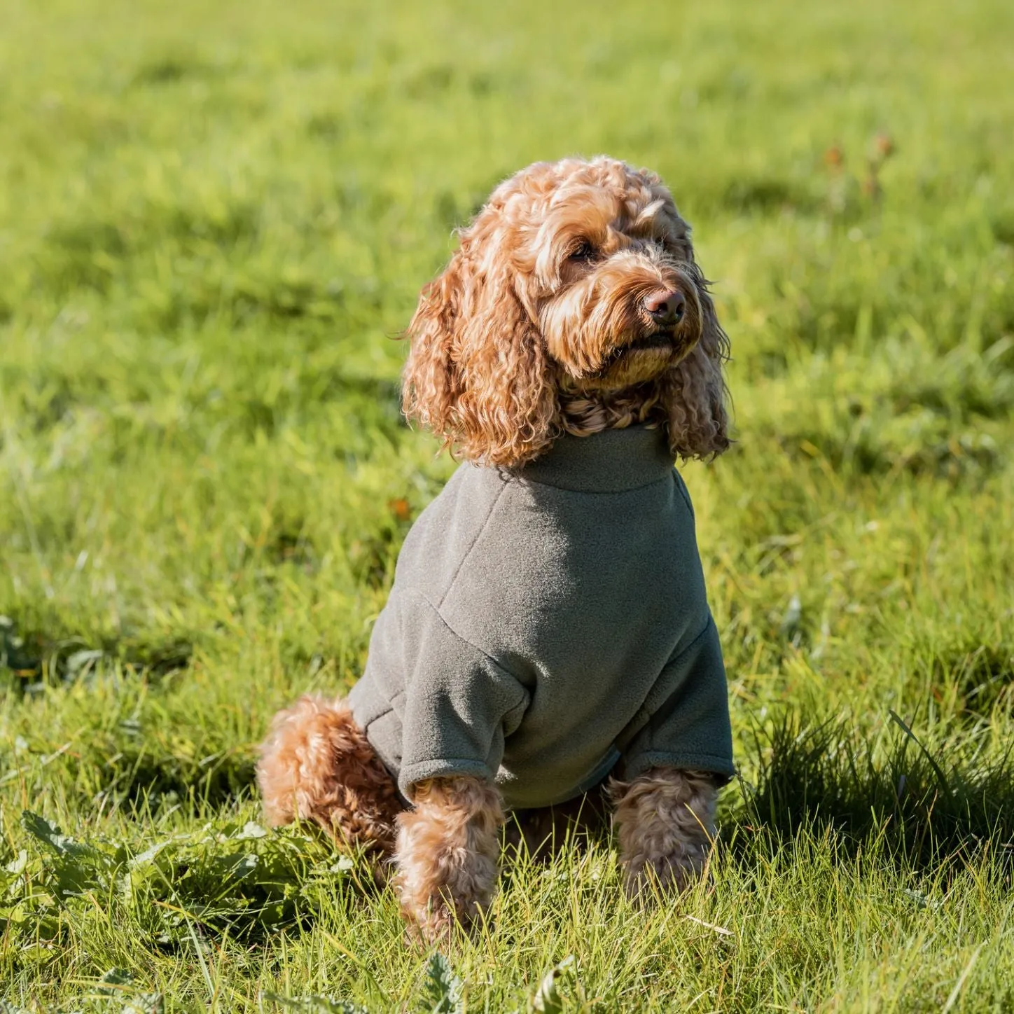 Stix Waterproof Fleece Coats for Frenchies